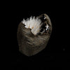 Natrolite Sprays Inside Chalcedony Geode Natural Mineral Specimen  # B 5160