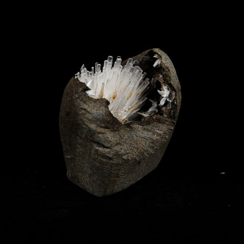 Natrolite Sprays Inside Chalcedony Geode Natural Mineral Specimen  # B 5160