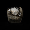 Natrolite Sprays Inside Chalcedony Geode Natural Mineral Specimen  # B 5160