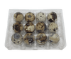 12-cell Jumbo Quail Egg Cartons (3x4)