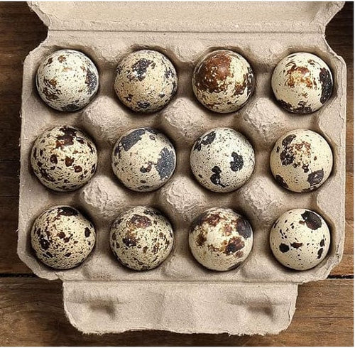 6 Dozen Farm Fresh n Tasty Organic Jumbo Quail Eggs