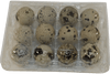 12-cell Large Jumbo Quail/Pigeon Egg Cartons (3x4)