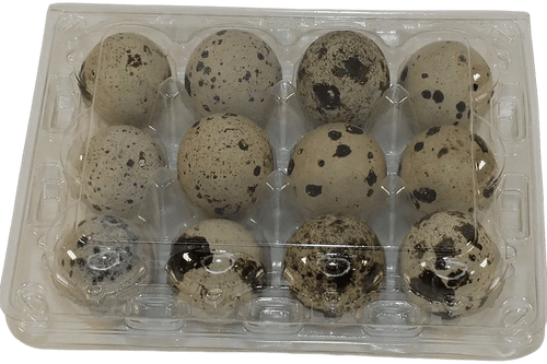 12-cell Large Jumbo Quail/Pigeon Egg Cartons (3x4)