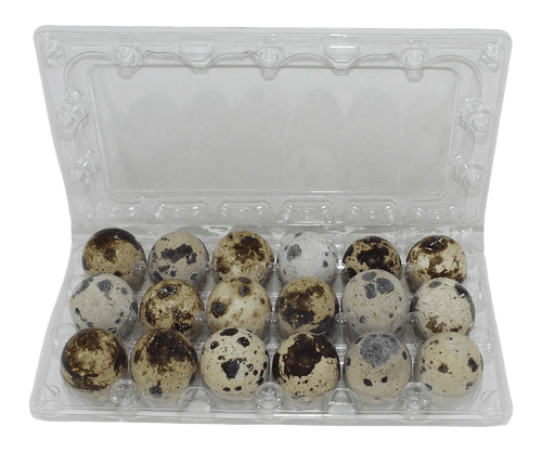 18-cell Jumbo Quail Egg Cartons (3x6)