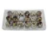18-cell Jumbo Quail Egg Cartons (3x6)
