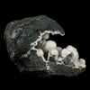Okenite Big Puffballs Inside Geode Natural Mineral Specimen # B 6173