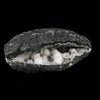 Okenite Big Puffballs with Gyrolite in Geode Natural Mineral Specimen # B 5867