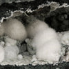 Okenite Big Puffballs with Gyrolite in Geode Natural Mineral Specimen # B 5867