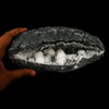 Okenite Big Puffballs with Gyrolite in Geode Natural Mineral Specimen # B 5867