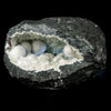 Okenite Big Puffballs Inside with Gyrolite inside Geode Natural Mineral Specimen # B 5872