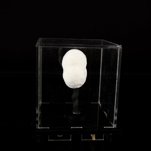 Okenite Big Puffballs Natural Mineral Specimen # B 6711