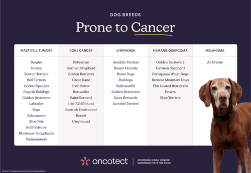 Oncotect Essential At-Home Dog Cancer Screening Test Kit