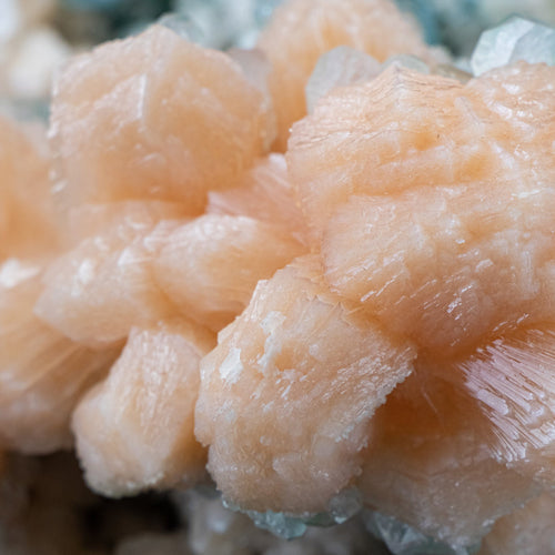 One time find of bright orange crystals with Unusual growth of Green Marshy Apophyllite  - #C6