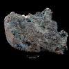 One time find of bright orange crystals with Unusual growth of Green Marshy Apophyllite  - #C6
