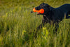 Barrows Training Bumper Pack - Orange