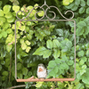 Original Swing, Bronze
