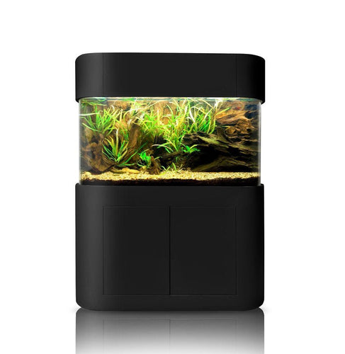 Glass Panoramic Flat