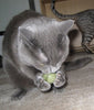 Pawbreakers Bonkas Catnip Candy Ball Cat Toy - Edible Catnip Treat & Toy