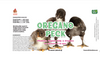 Oregano Peck Chicken Feed Supplement with North American Kelp & Oregano