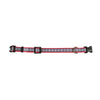 Pendleton Adventure Collar
