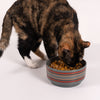 Pendleton Ceramic Food & Water Pet Bowl
