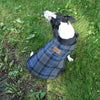 Pendleton Crescent Lake Plaid Dog Coat