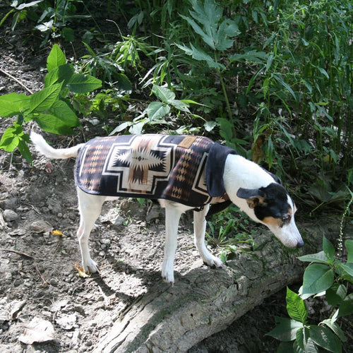 Pendleton Harding Fleece Dog Coat