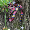 Pendleton National Park Adventure Collar