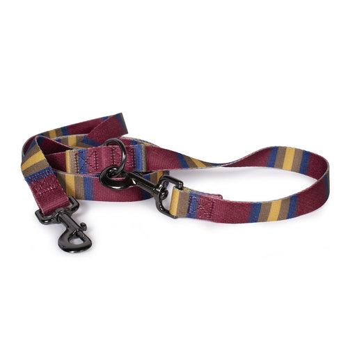 Pendleton National Park Adventure Leash