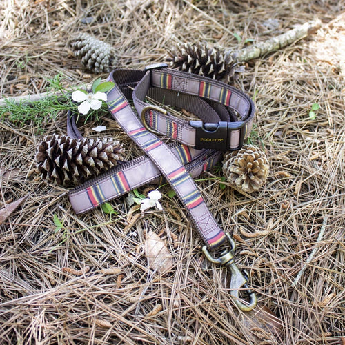 Pendleton National Park Hiker Leash