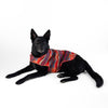 Pendleton Pet Puffer Coat