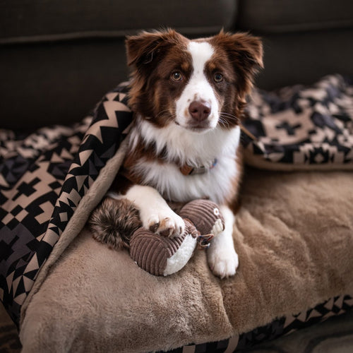 Pendleton Plush Squirrel Toy