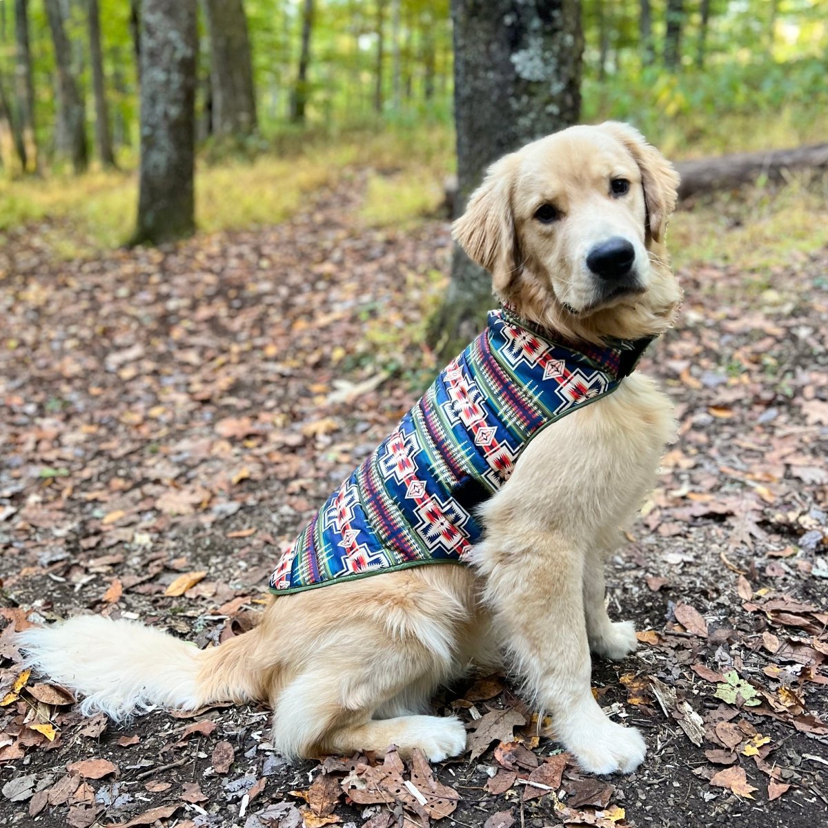 Pendleton Puffer Dog Coat - Audubon, NJ - Garden State Pet Center