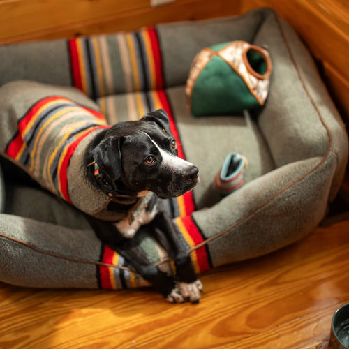 Pendleton Vintage Camp Berber Dog Coat