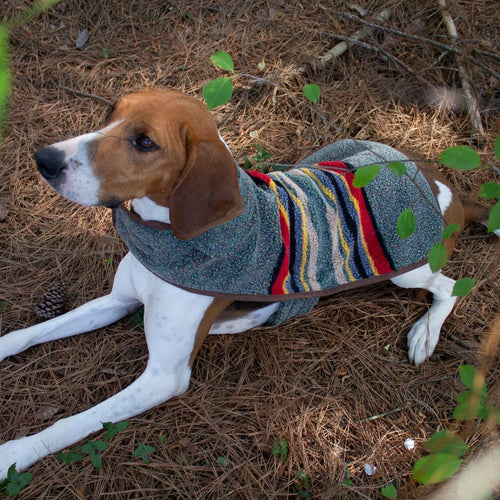Pendleton Vintage Camp Dog Coat
