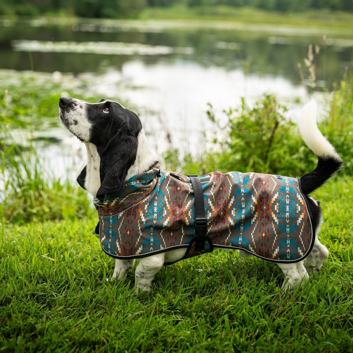 Pendleton Waterproof Adventure Pet Coat - Audubon, NJ - Garden State ...