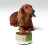Sebastian & Clementine Window Overlooking The City Vintage Collection Pet Bowl