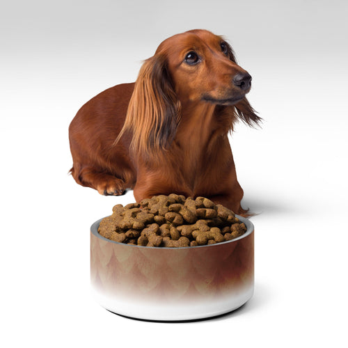 Sebastian & Clementine Vintage Collection Pet Bowl