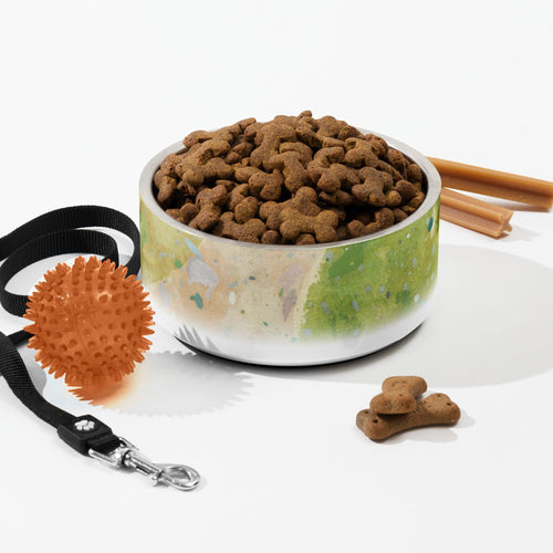 Sebastian & Clementine Window Overlooking The City Vintage Collection Pet Bowl