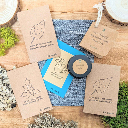 Pet-Friendly Houseplant Seed Collection