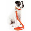 Pet Life ® 'Aero Mesh' 2-In-1 Breathable and Adjustable Dual-Sided Mesh Dog Leash and Collar