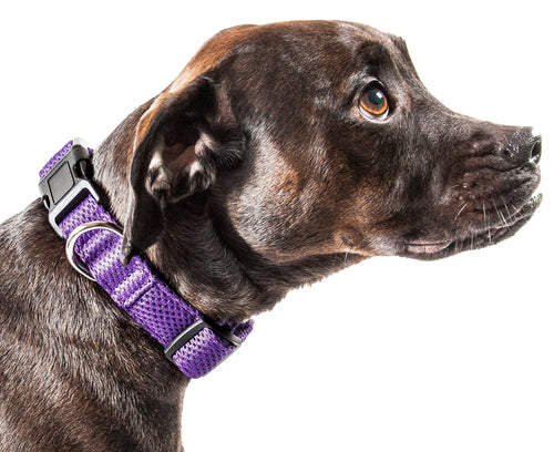 Pet Life ®  'Aero Mesh' Dual-Sided Breathable and Adjustable Thick Mesh Dog Collar