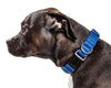 Pet Life ®  'Aero Mesh' Dual-Sided Breathable and Adjustable Thick Mesh Dog Collar