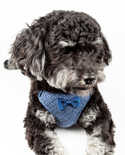 Pet Life ®  'Flam-Bowyant' Mesh Reversed and Adjustable Dog Harness