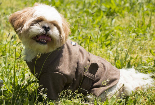 Pet Life ® 'Galore Back-Buckled' Fashion Wool Dog Jacket Coat