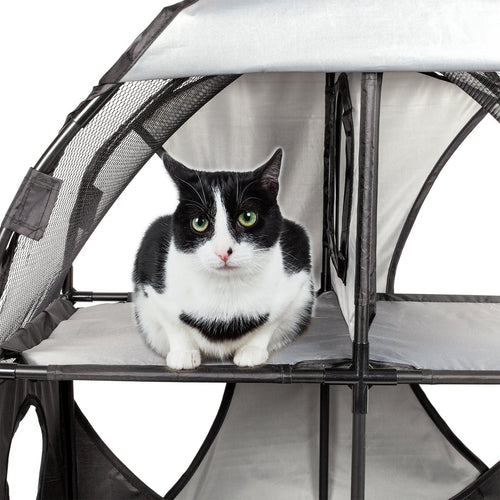 Pet Life ® 'Kitty-Play' Collapsible Travel Interactive Kitty Cat Tree Maze House Lounger Tunnel Lounge