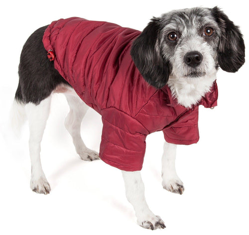 Pet Life ® Lightweight Adjustable and Collapsible 'Sporty Avalanche' Dog Coat w/ Pop-out Zippered Hood