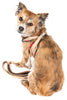 Pet Life ® Luxe 'Dapperbone' 2-In-1 Adjustable Fashion Dog Harness and Leash