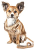Pet Life ® Luxe 'Furracious' 2-In-1 Adjustable Dog Harness and Leash with Detachable Fur Collar
