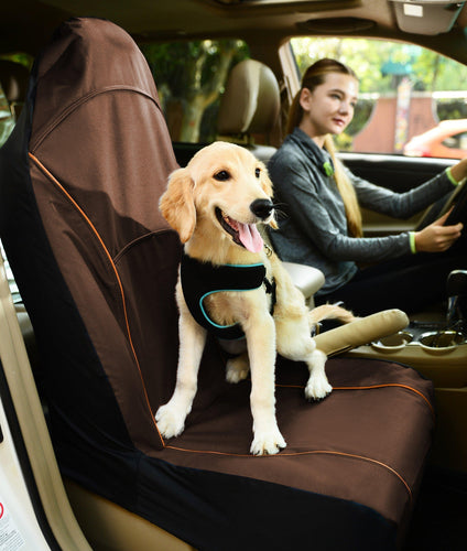 Pet Life ® 'Open Road' Single Seated Safety Child Pet Cat Dog Car Seat Carseat Cover Protector